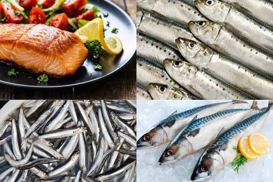 7 loại cá siêu giàu Omega-3 tốt cho sức khỏe mọi nhà! - Tepbac