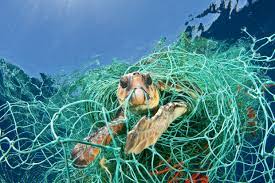 Veolia Environnement Wildlife Photographer Of The Year 2010 Save Our Oceans Ocean Pollution Marine Debris