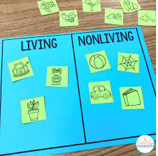 We did not find results for: Living And Nonliving Things Activities For Kindergarten Or 1st Grade Natalie Lynn Kindergarten