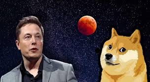 Musk, who's playful dogecoin tweets have helped the joke bitcoin rival soar by 6,000% over the last year tesla ceo elon musk has long been a fan of dogecoin, the joke bitcoin rival based on the. Elon Musk Addresses Dogecoin Whales Somag News