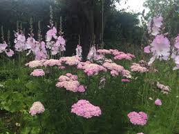 Floral, design, fresh, cut and flower. The Landscape Lady Posts Facebook