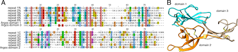 Sexually Dimorphic Venom Proteins In Long Jawed Orb Weaving