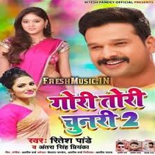 Gori Tori Chunari 2 Ritesh Pandey Bhojpuri Mp3 Download Mp3 Song Pandey Songs