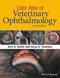 Download Pdf Color Atlas Of Veterinary Ophthalmology Free Epub Mobi Ebooks Veterinary Veterinarians Medicine Veterinary Assistant