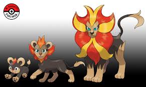 Evolving Female Litleo Into Pyroar Litleo Evolution Level