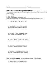 This is an online quiz called dna base pairing rule. Dna Translation Sheet Nov 3 2014 1 Docx Name Period Dna Base Pairing Worksheet There Are Base Pairing Rules For Writing Complimentary Dna Strands Course Hero