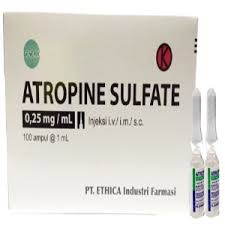 Asian multinational phase iii study. E Katalog 5 0