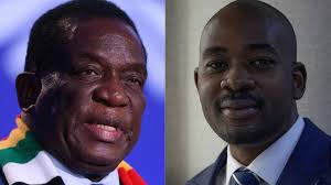 We need power': Zimbabweans hope for end to blackouts as election nears