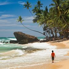 Learn more about this content. Savour Sri Lanka Sights Sunshine And Beaches Away From The Crowds Sri Lanka Holidays The Guardian