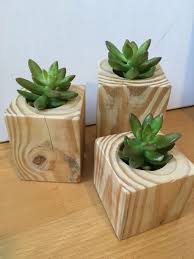39 Captivating Wood Succulent Planter Ideas Of Unused Wood Wood Succulent Planter Succulent Planter Diy Wooden Succulent Planter