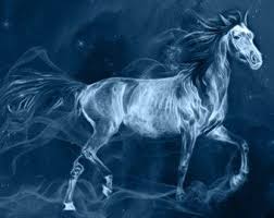 S128 Dapple Grey Mare In 2020 Stallion Tattoo Mare Bay Horse