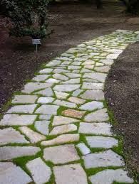 Consigli per realizzare un giardino verticale fai da te. Vialetto In Giardino