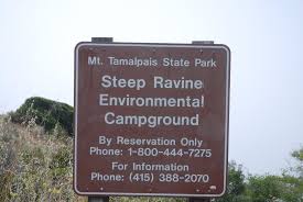 Let us introduce you to the elusive steep ravine cabins and campground in marin. View From Cabin 5 Main Room Picture Of Steep Ravine Cabins Mill Valley Tripadvisor