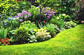 Perennial Garden Ideas For Full Sun Gardening Plans Landing Flower Small Bperennial Gardenb Design Tips B Perennial Garden Design Perennial Garden Plans Plants