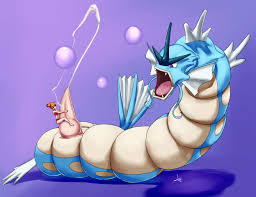 Rule34 - If it exists, there is porn of it  aogami, gyarados, kasumi  (pokemon)  441073
