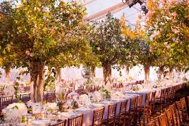 There's something indescribable about an outdoor wedding: Wedding Idea S Garden Wedding Reception Ideas