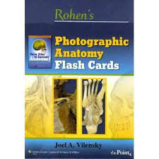rohen s photographic anatomy flash cards are free for m1s that join amsa this set of 220 is based on the flashcards quizlet study