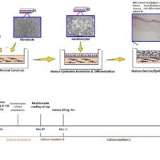 Gianluca ciardelli, politecnico di torino, mechanics and aeronautics department, faculty member. Gianluca Ciardelli Politecnico Di Torino Turin Polito Dimeas Department Of Mechanical And Aerospace