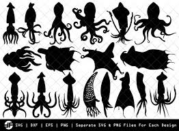 Download Squid Svg Sea Fish Svg Silhouette Bundle Svg Cut File Etc Craft Marketplace