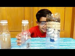 Water filter | water purifier. Diy Water Filter From Plastic Bottle Penyaringan Air Menggunakan Botol Bekas Youtube
