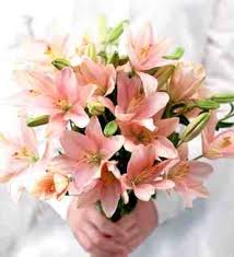 صور ورود صور ورود خياليه صور ورود جديده احلى صور ورود Floral Floral Wreath Wreaths