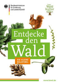 Titelbild Der Broschure Entdecke Den Wald Die Kleine Waldfibe Wald Grundschule Themen Fur Kindergarten Und Vorschule Naturwissenschaften Fur Die Grundschule