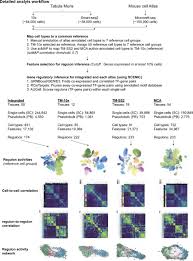 Společnost leong wilson vznikla v roce a sídlí na adrese 50; Predicting Gene Regulatory Networks From Cell Atlases Life Science Alliance