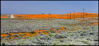 Lancaster is a charter city located in los angeles county. Elevation Of Antelope Valley Lancaster Ca Usa Topographic Map Altitude Map