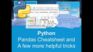 Image result for Pandas cheatsheet