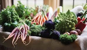 We did not find results for: Learn How To Grow Micro Herbs And Edible Flowers At The World S First Hotel Gardening School Robb Report Singapore