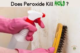 Mold: A Hashimoto'S Trigger - Dr. Izabella Wentz