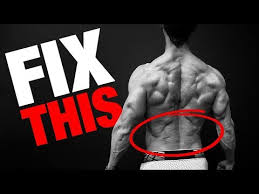 What exercises strengthen the back? 5 Best Exercises For A Strong Lower Back The Trend Spotter