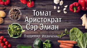 Характеристики томата Сэр Элиан