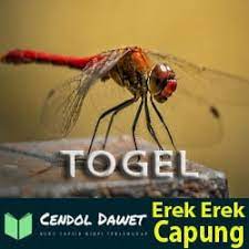 Kede alam hari natal 2d : Kodealam Togel