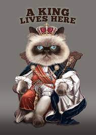 a king lives here poster by adam lawless displate big cats art pretty cats cat art