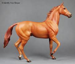 Image result for Thesium breyeri