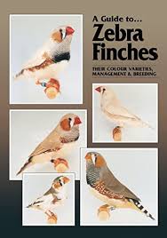 A Guide to Zebra Finches: Their Colour Varieties, Management & Breeding by Joan  Milton
