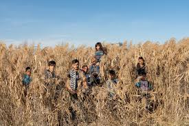 Cele mai bune 11 filme din 2012 realizat de revista sight & sound. Film Romanesc In Cursa Pentru O Nominalizare La Oscar Pentru Cel Mai Bun Film Documentar Blogu Lu OtravÄ