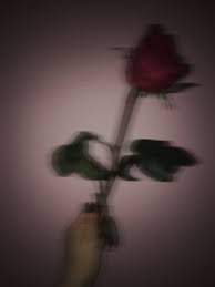 Pin By Niiij4n 11 On Wallpaper Aesthetic Roses Aesthetic Iphone Wallpaper Rose Wallpaper