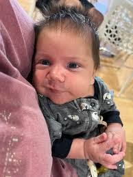 Diane Gorham's Instagram, Twitter & Facebook