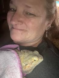 Why is my bearded dragon sleeping in an unusual position?