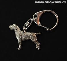 Image result for slovenský ohař hrubosrstý