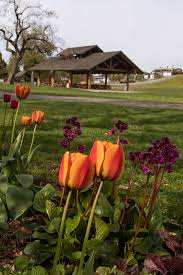 Check spelling or type a new query. Fraser River Heritage Park Tourism Mission