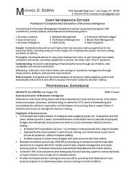 chief information officer cio resume