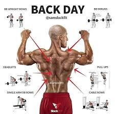 Develop Your Back Muscle In A Shorter Time With These Exercises Bodybuilding Healthyeating Fitness Diet Good Back Workouts Workout Plan Gym Workout Routine
