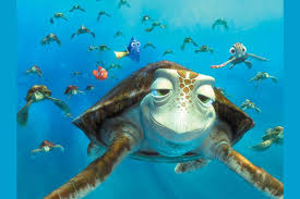 Sustainable coastlines hawaii the ocean is a powerful force. Finding Nemo Trivia Quiz