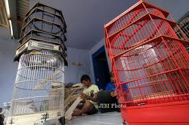Alas kandang umumnya berbentuk kawat ram. Info Belanja Sangkar Burung Lebih Murah Di Perajin Mau