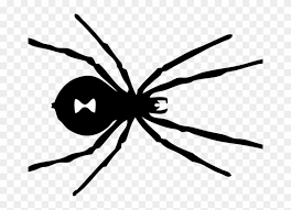 They are able to play games in the nursery like numbers match games and alphabet puzzles and black widow coloring pages. Black Spider Coloring Page Black Widow Spider Coloring Black Widow Spider Transparent Hd Png Download 678x526 1415226 Pngfind