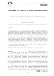 Image result for Dovyalis hispidula