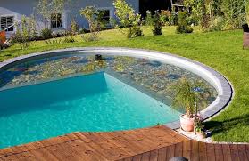 Naturpool 9 Bestrittene Mythen Garten Pooldesign Zenideen Natural Pool Garden Pool Design Natural Swimming Pools